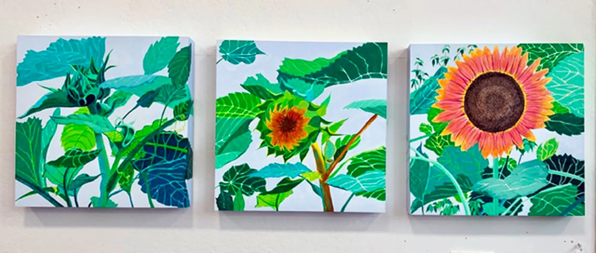 The Sunflower Stages | Triptych