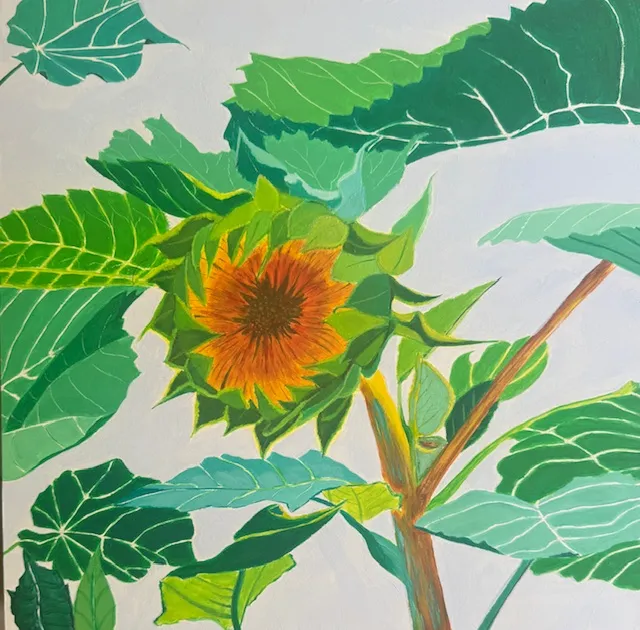 The Sunflower Stages | Triptych - Image 4