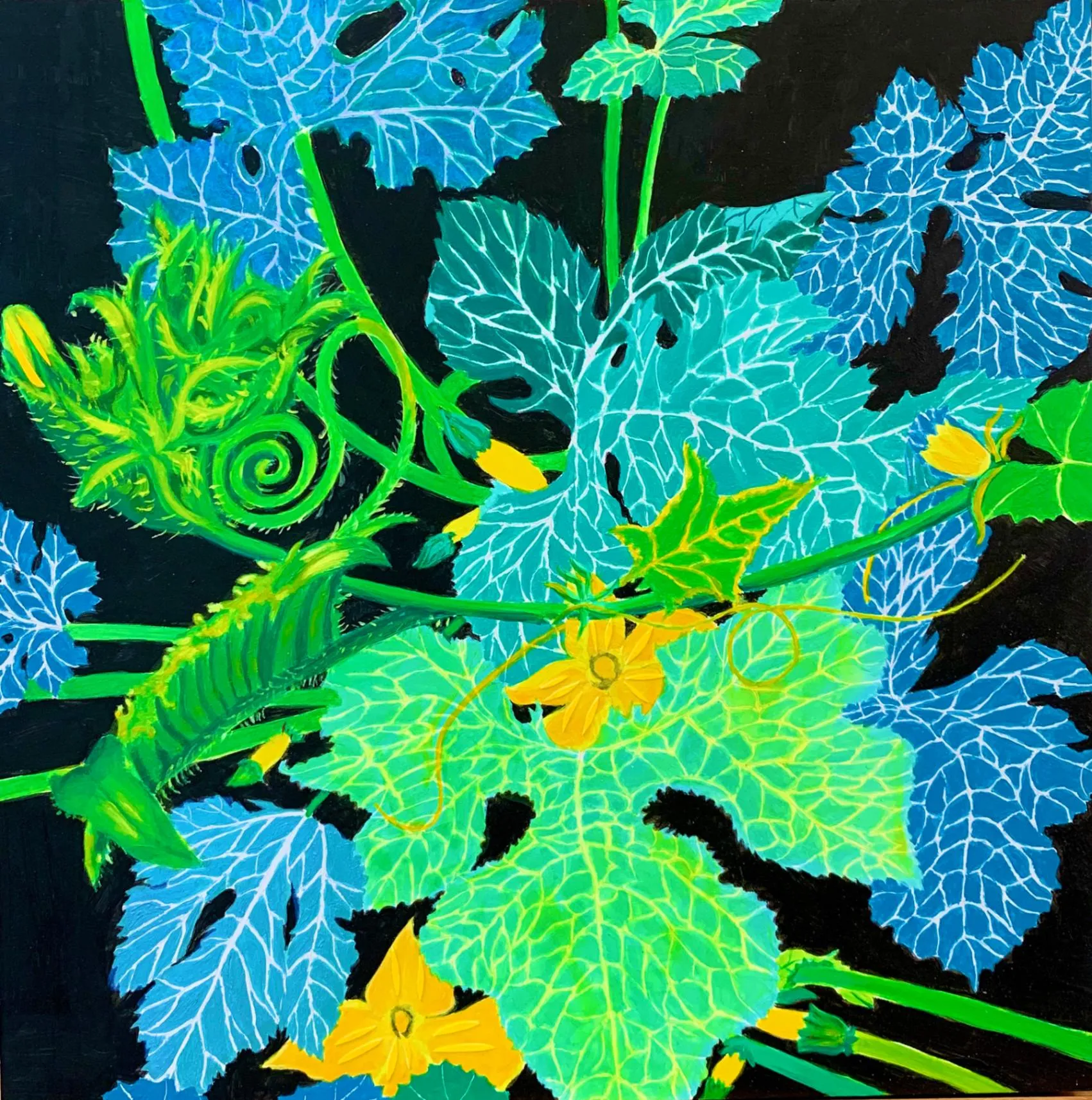 Squash Through the Cucumber Vine