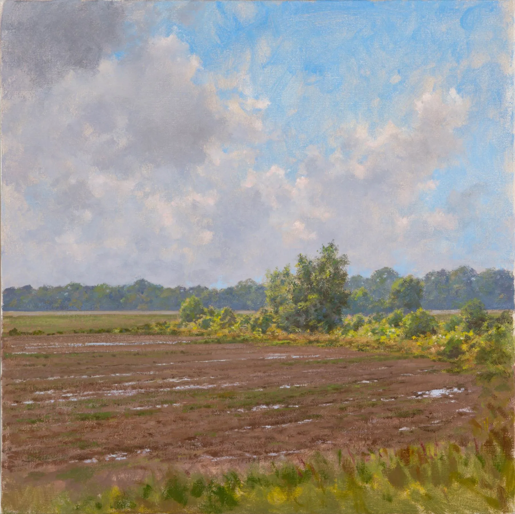 Clearing Up, Early Spring 