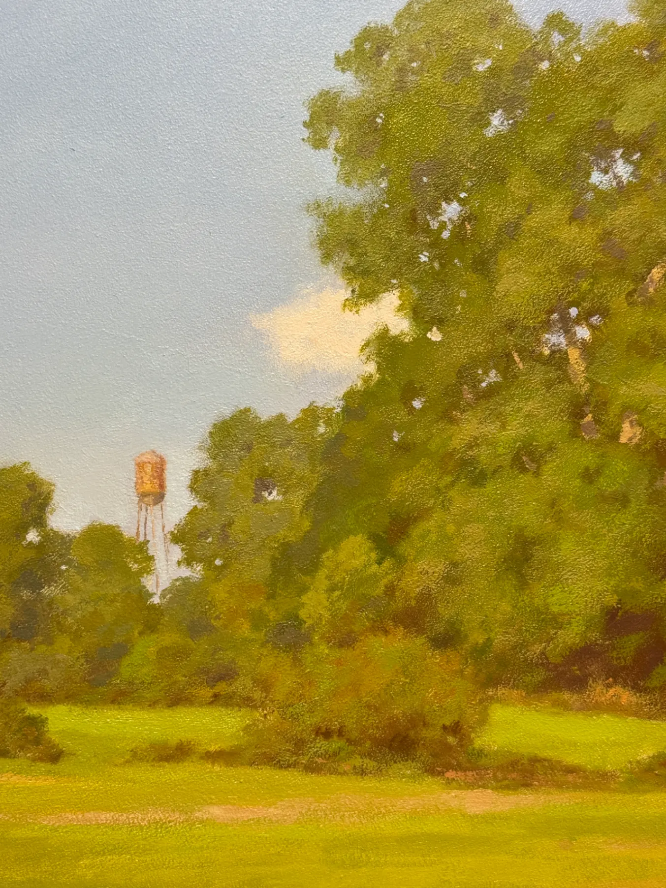 Flora - Image 7