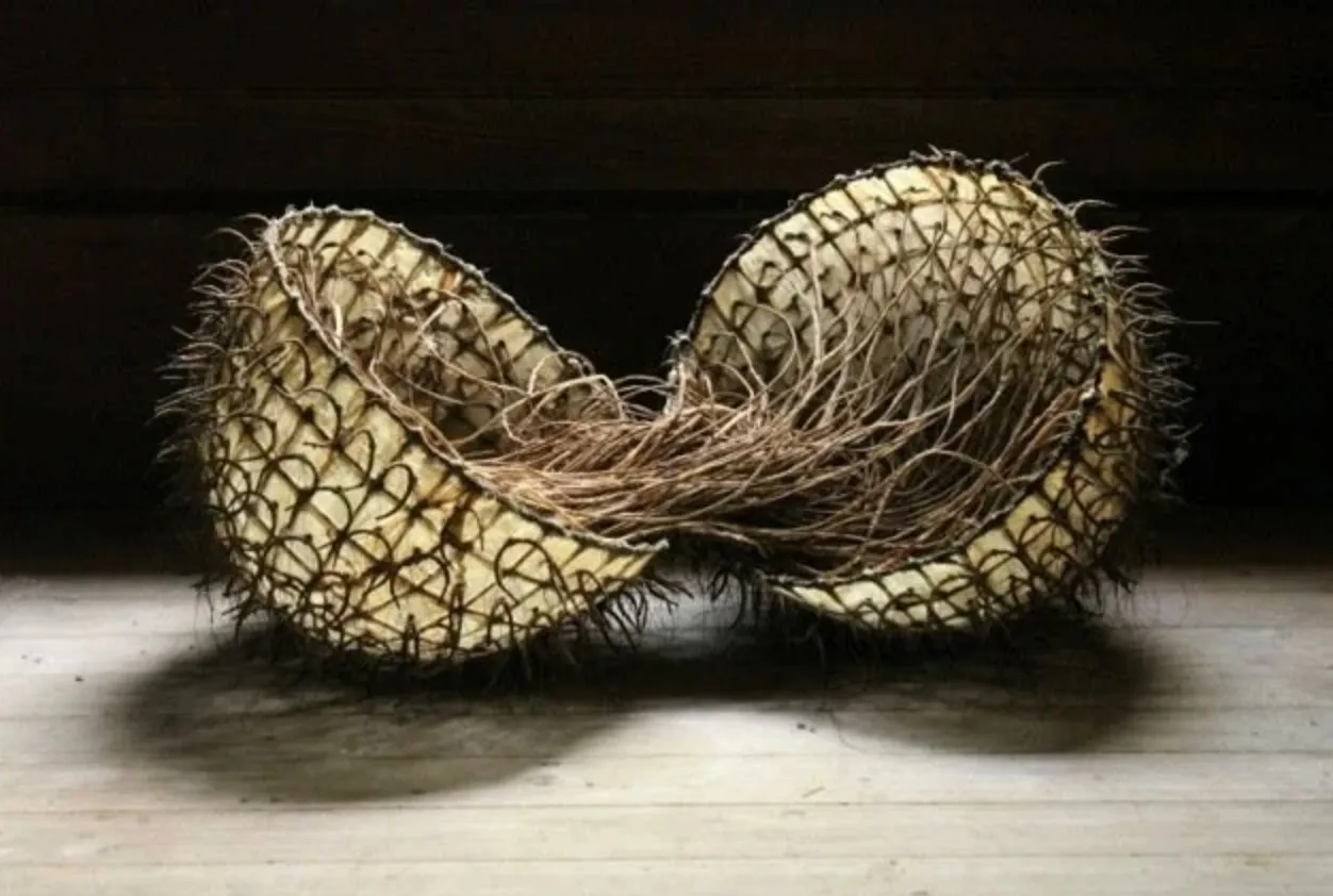 Oval Halves With Crescents