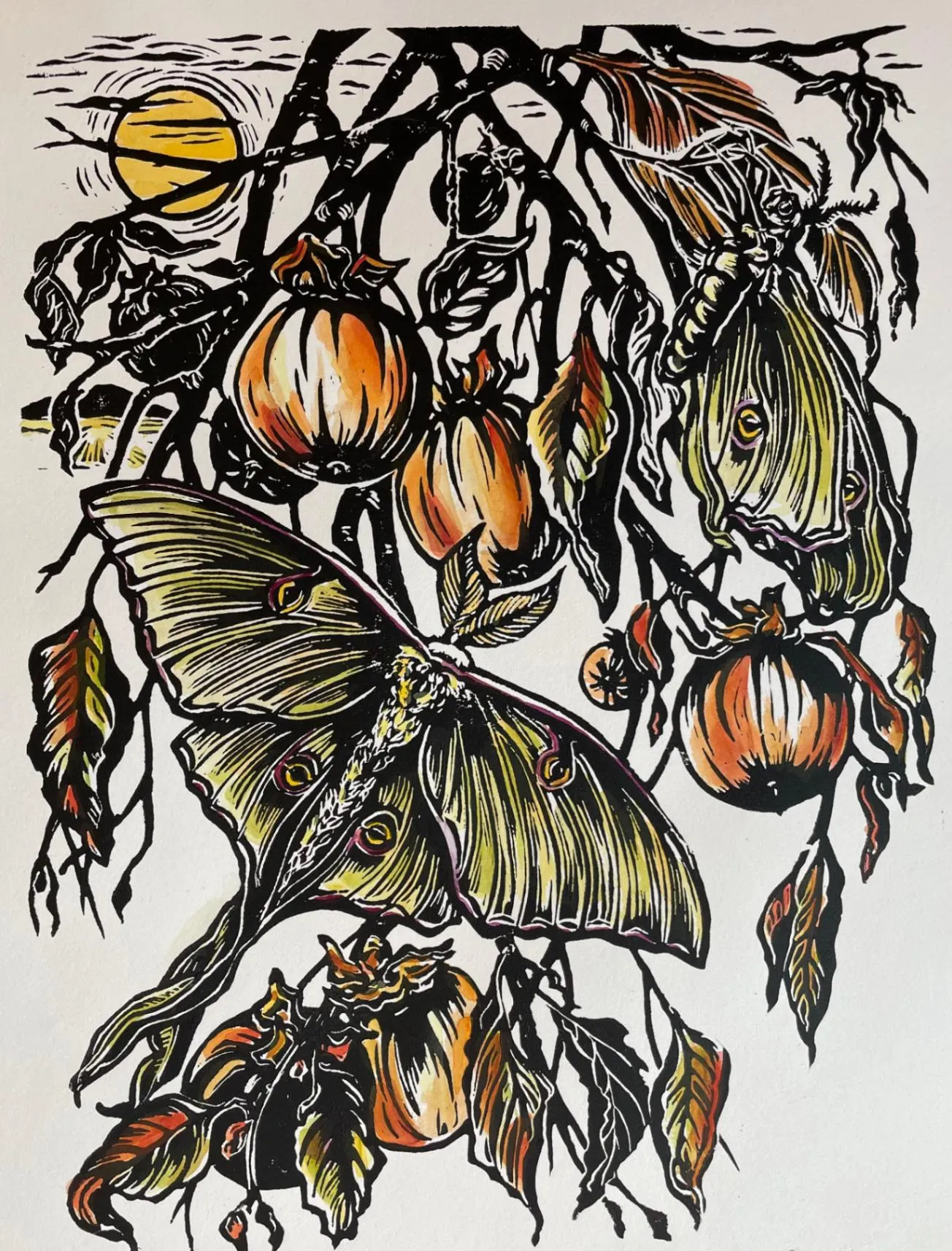 Luna Moths and Persimmon