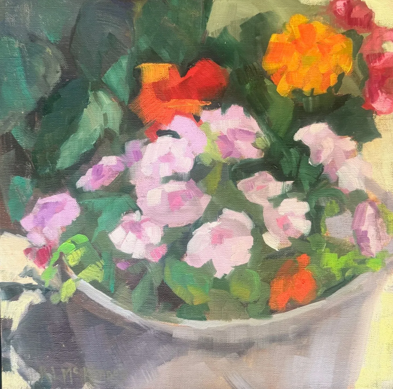 Nasturtiums in a Pot