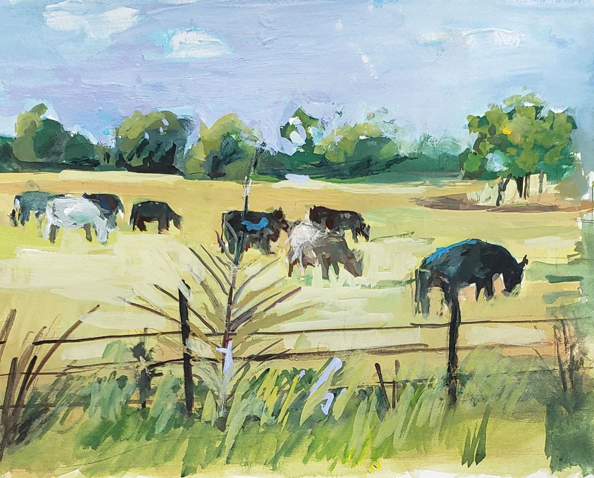 Grazing