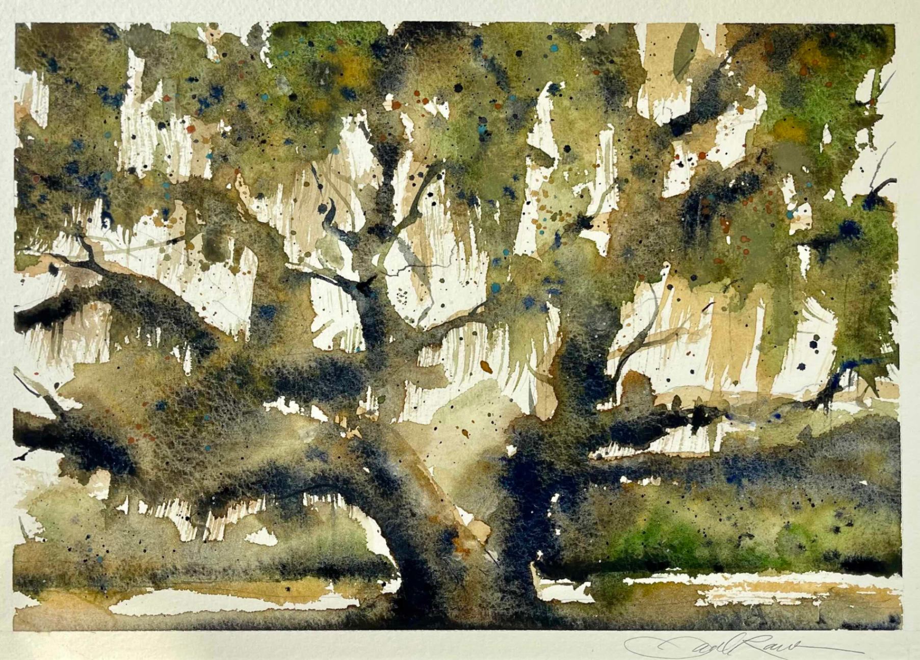 Mississippi Live Oak