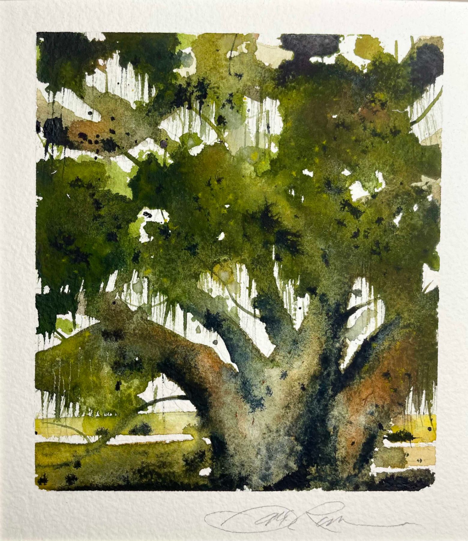 Ocean Springs Inspiration