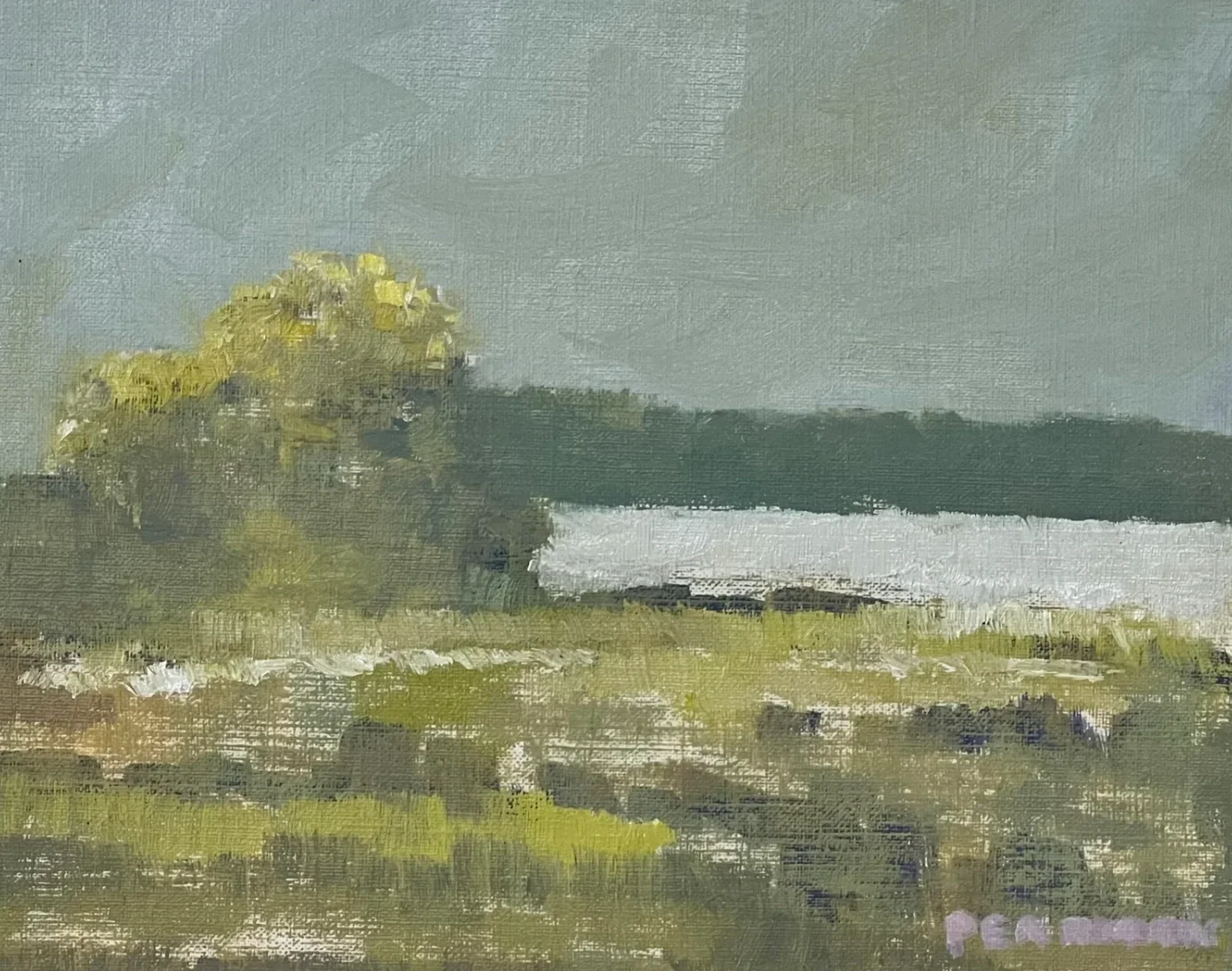 Mississippi River, Rosedale