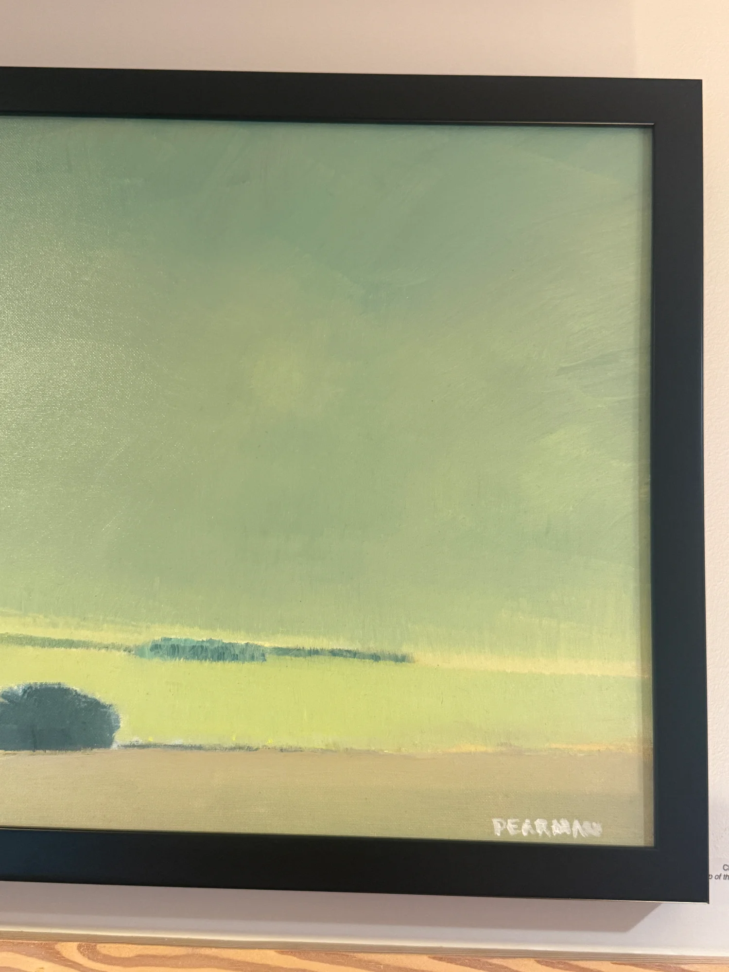 Top of the Levee, Rosedale MS  - Image 3