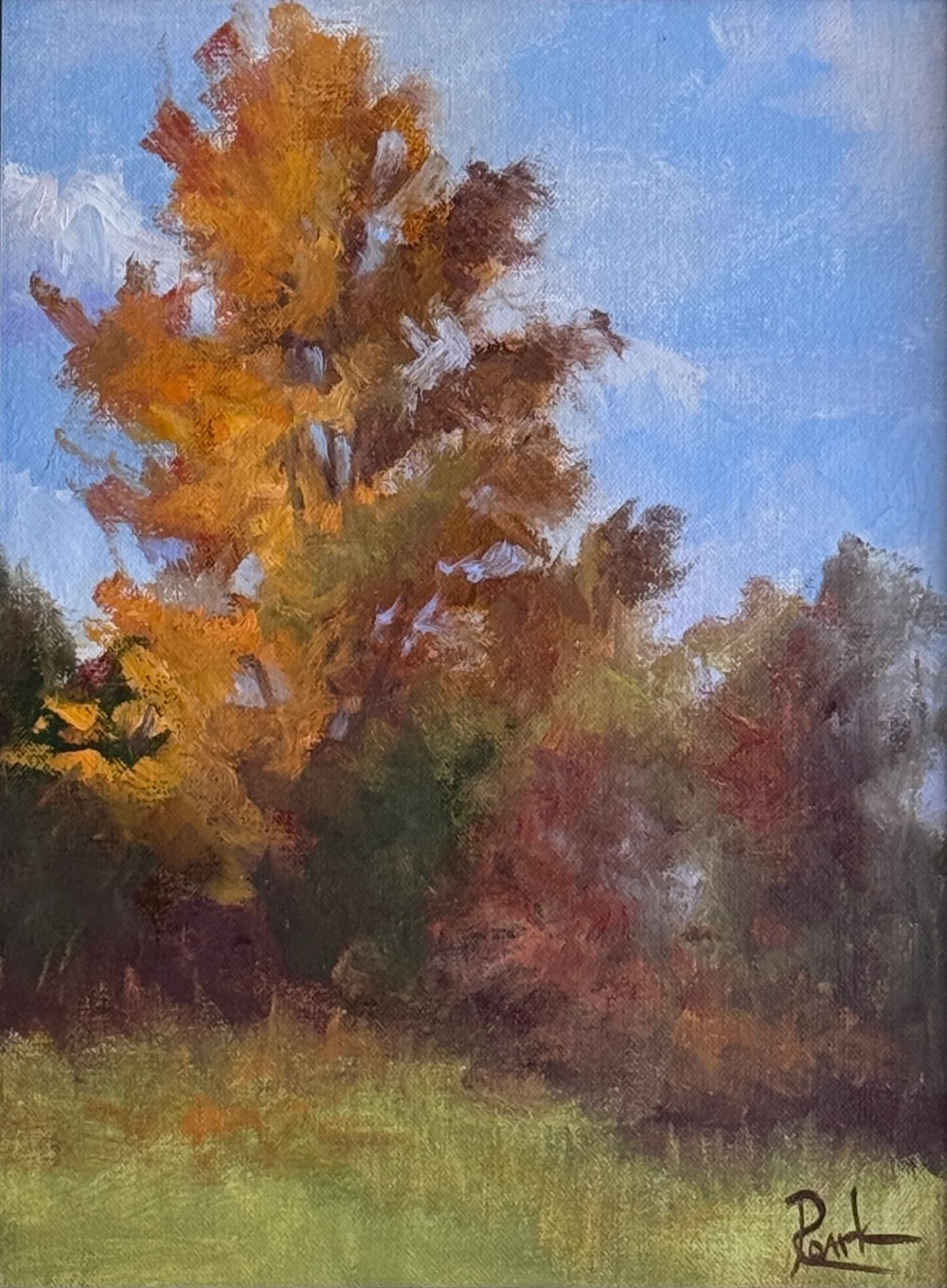 Autumn Morning
