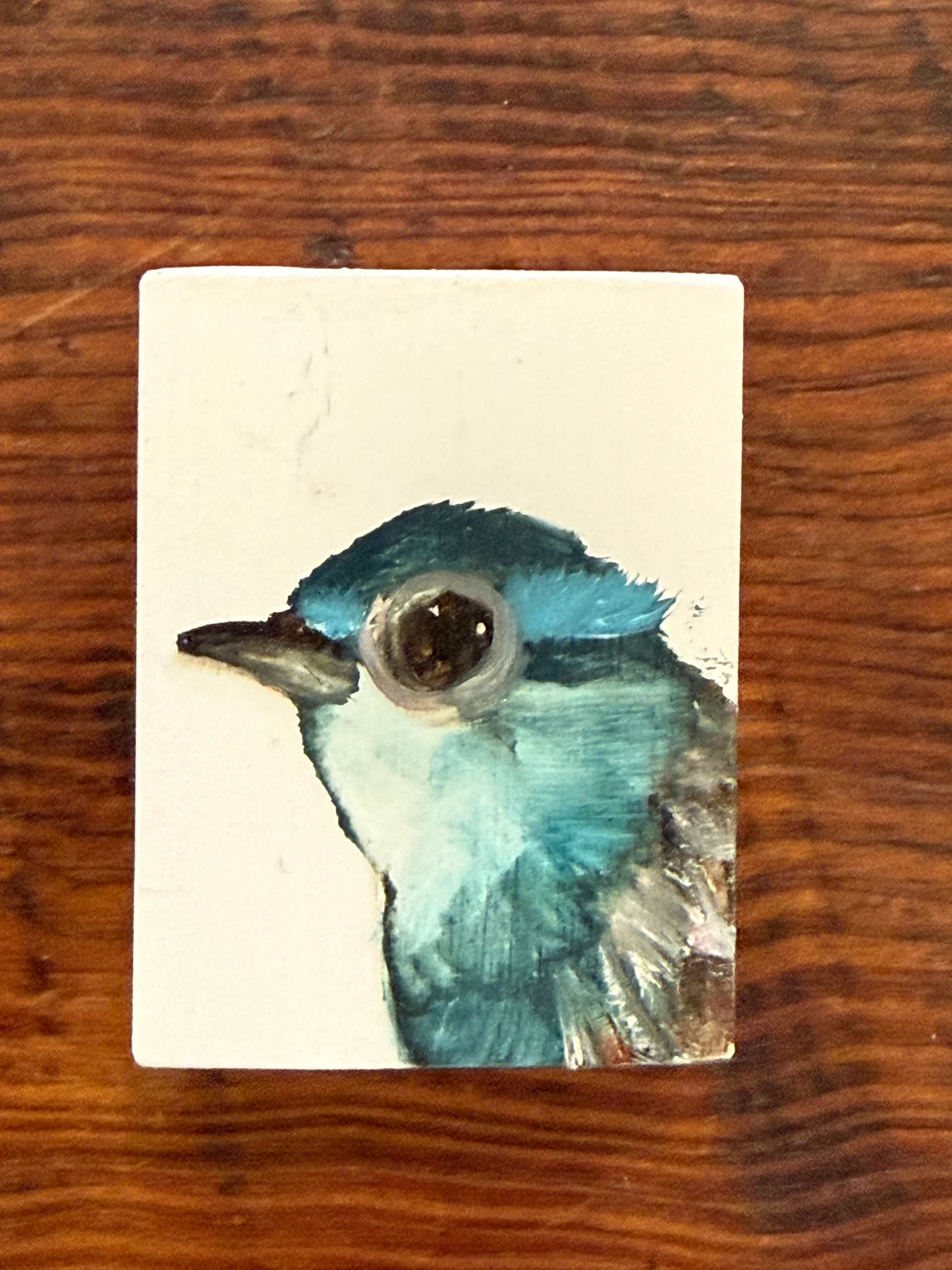 The Aviary - Image 9