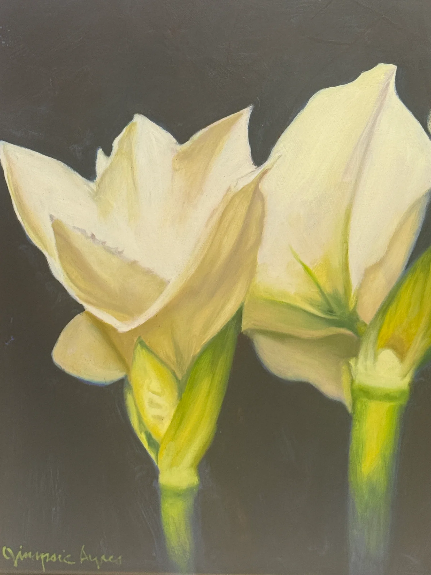White Amaryllis - Image 2