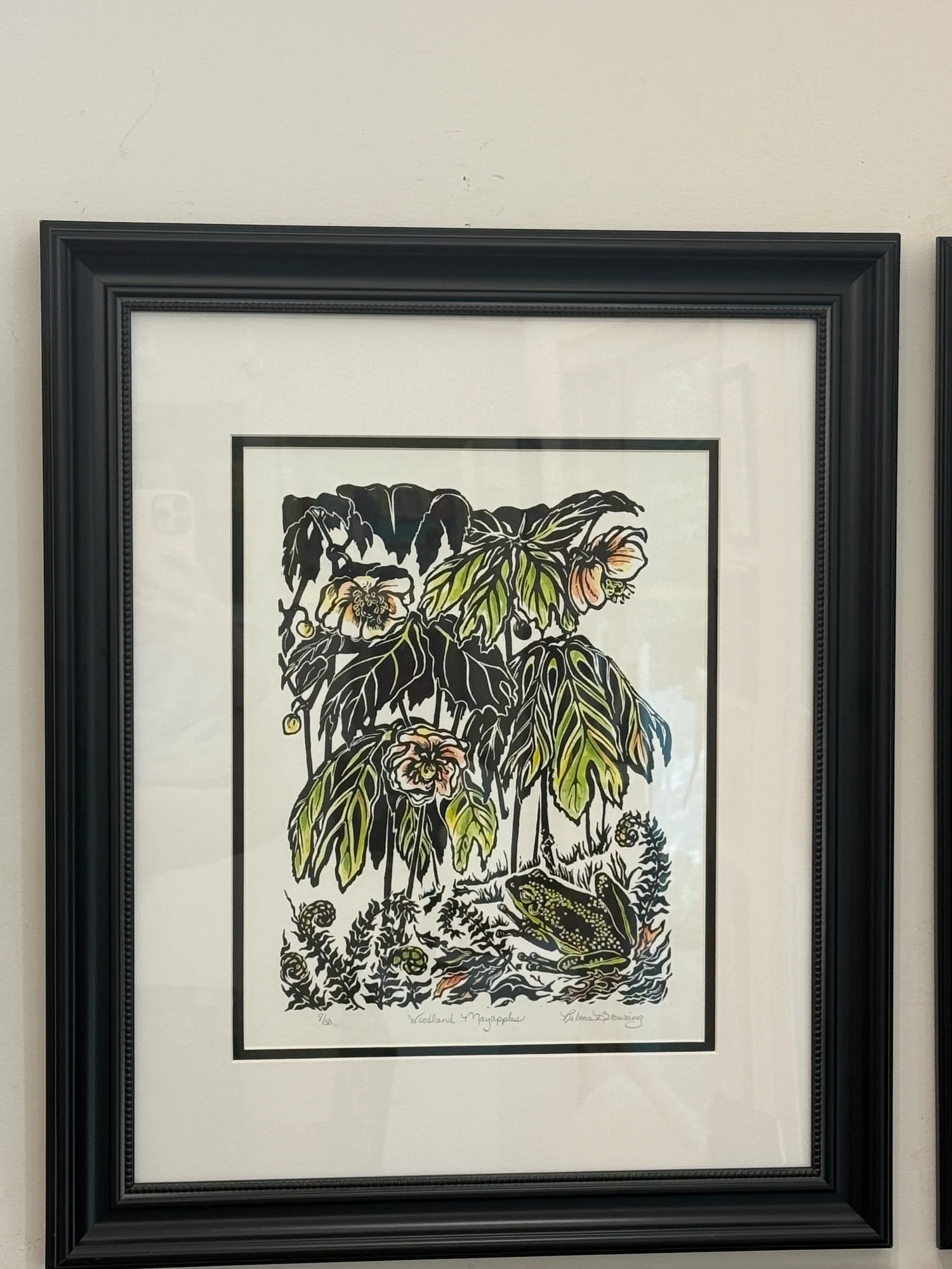 Woodland Mayapples - Image 2