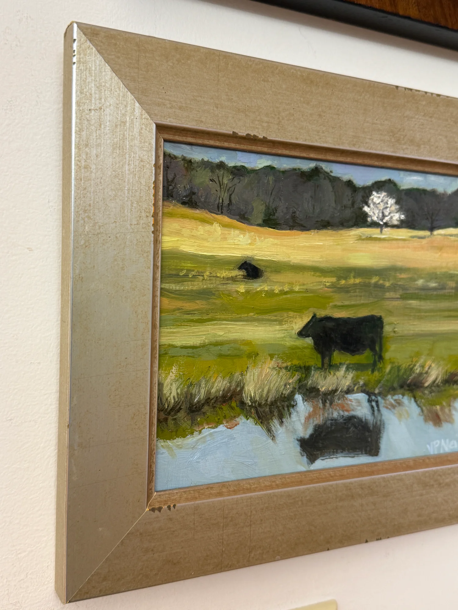 Cow Reflecting - Image 3