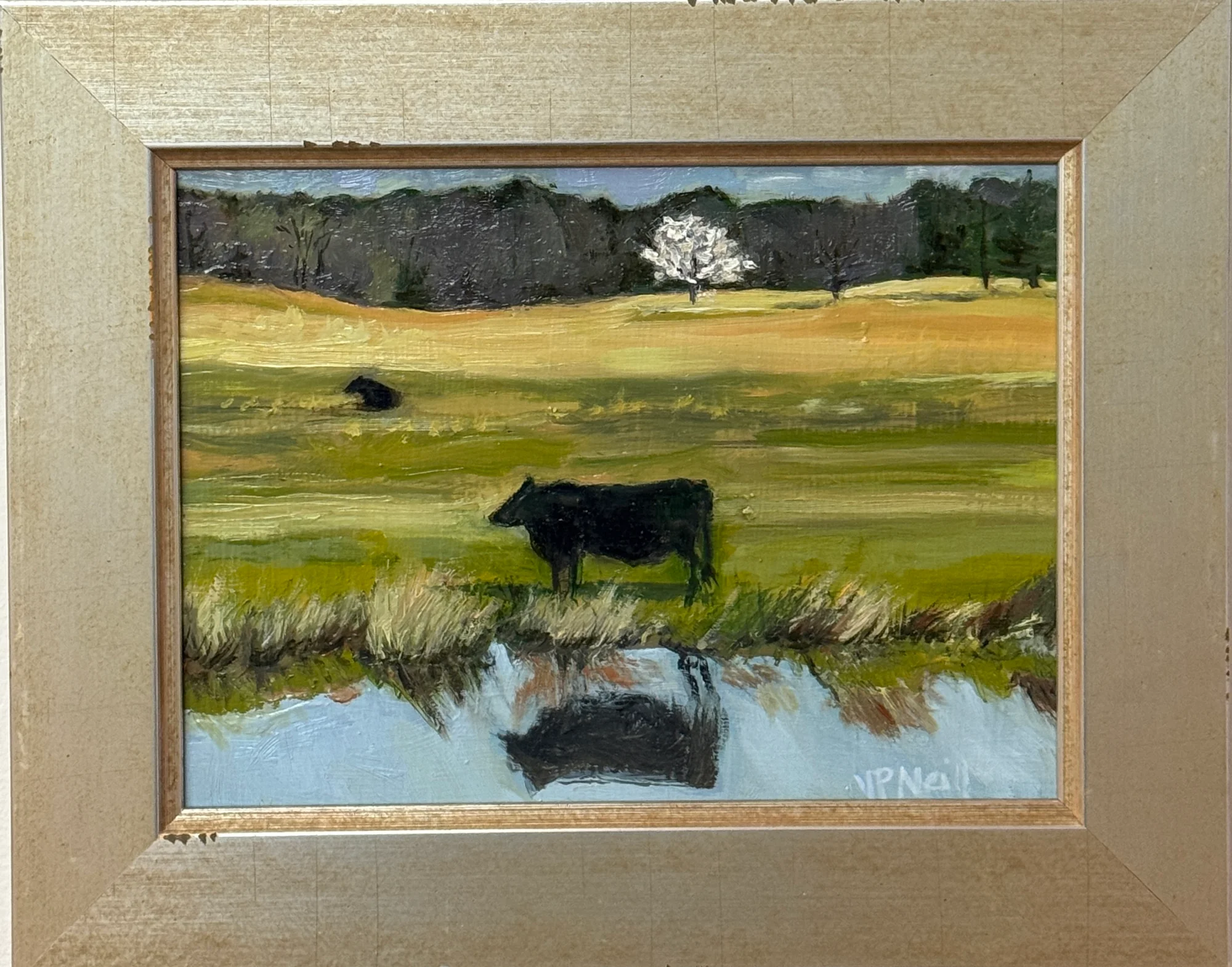 Cow Reflecting - Image 2