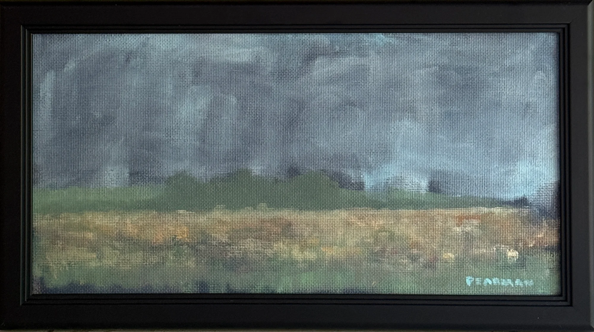 Rice Field Storm Front - Image 2