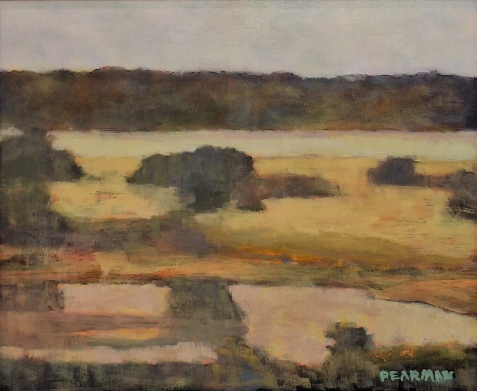 Rosedale, Mississippi Sandbar - Image 2