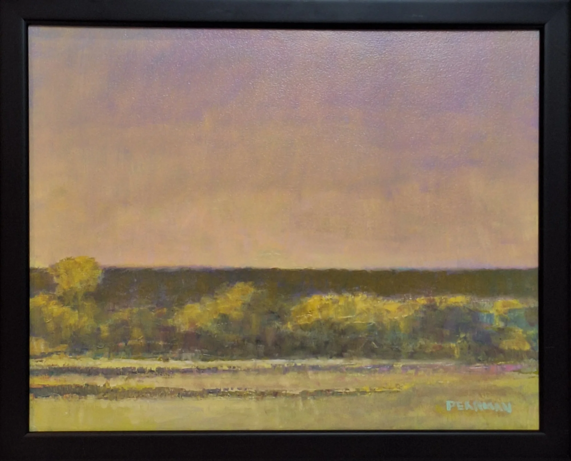 Mississippi River Levee - Image 2