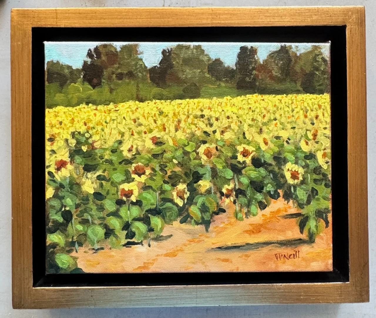 Lafayette County Sunflower Field - Image 2