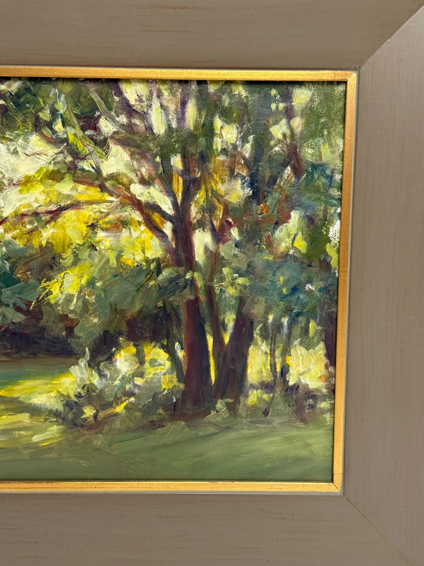 Backlit Trees - Image 2