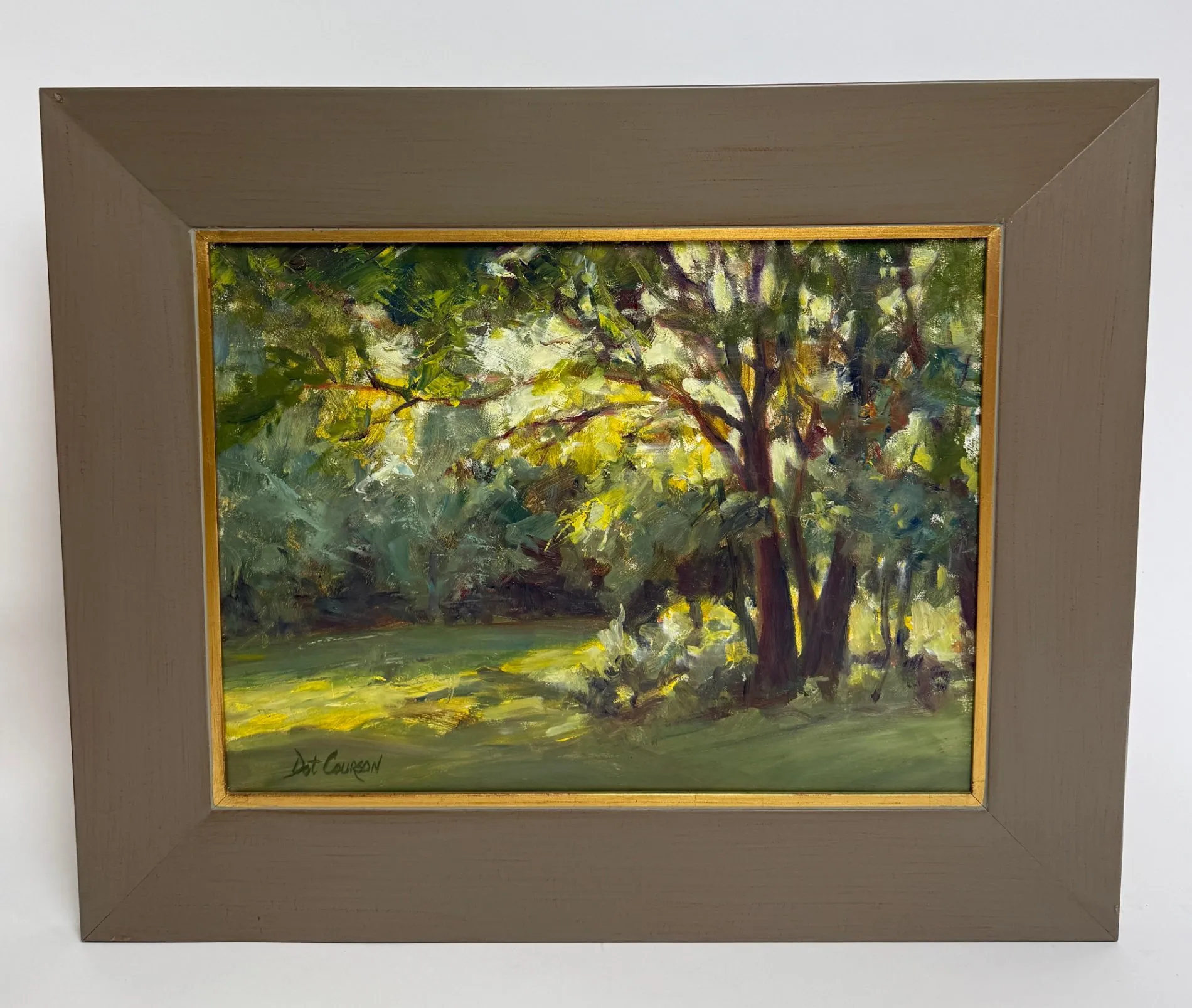 Backlit Trees - Image 4