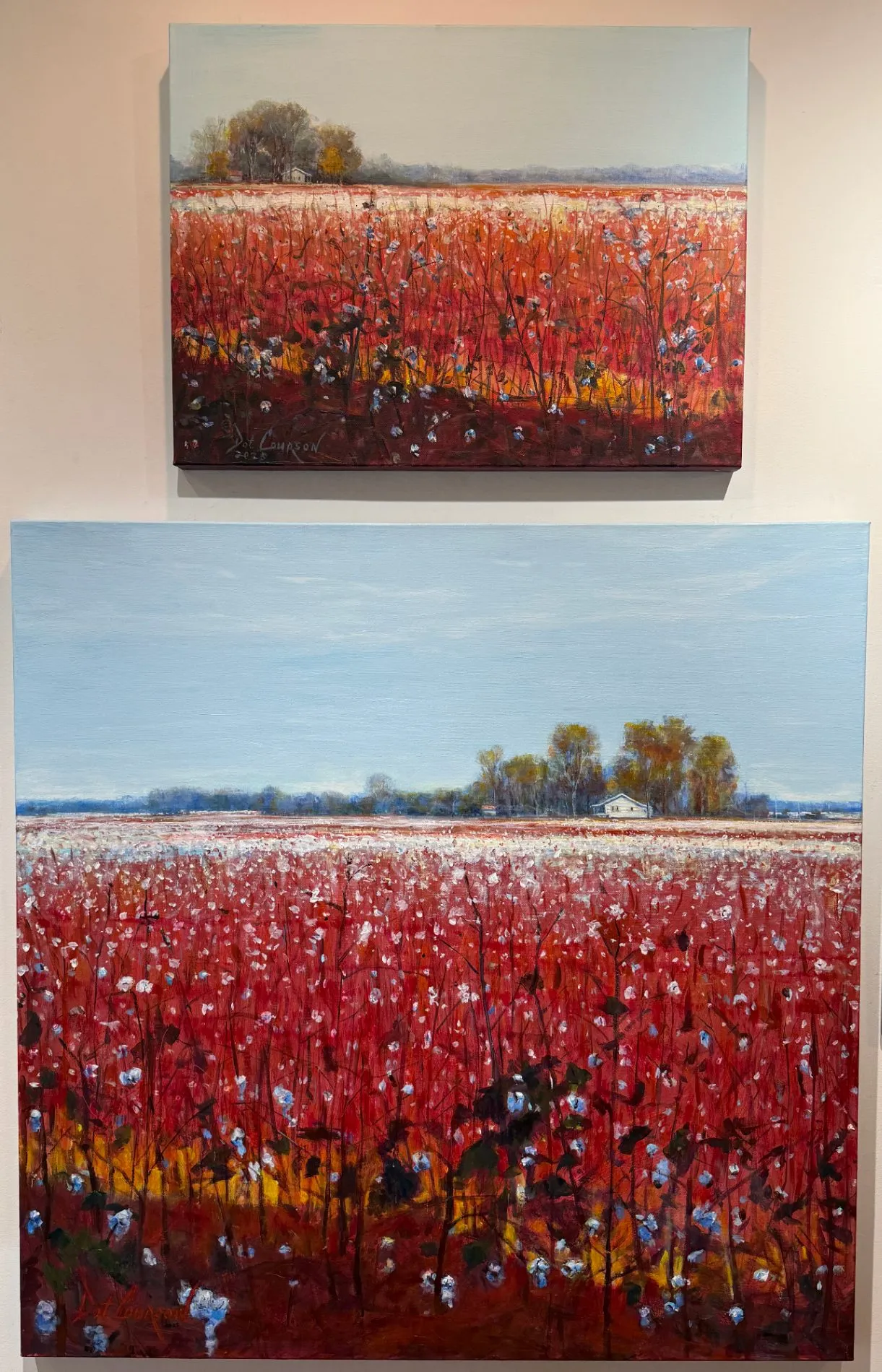 Little Bit of Shade - Image 4